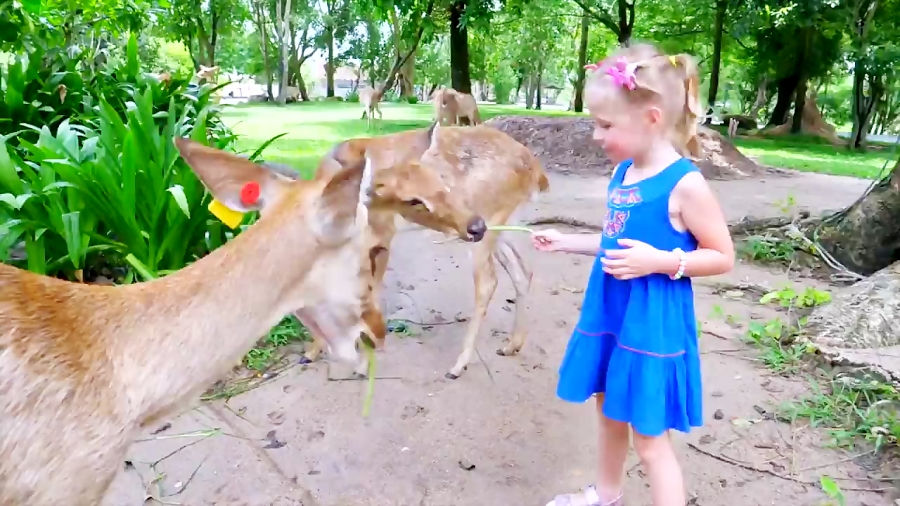 ماجراهای ناستیا و بابایی - قسمت 93